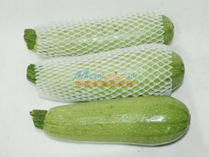 探访优品供应商 皇城塑料厂的蔬菜水果网套专业之道